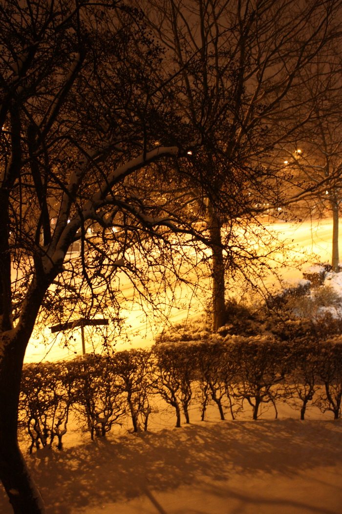 snow outside my apartment in Valby