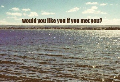 would you like you if you met you