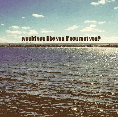 would you like you if you met you