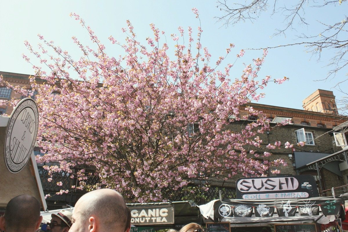 Cherry tree camden food market