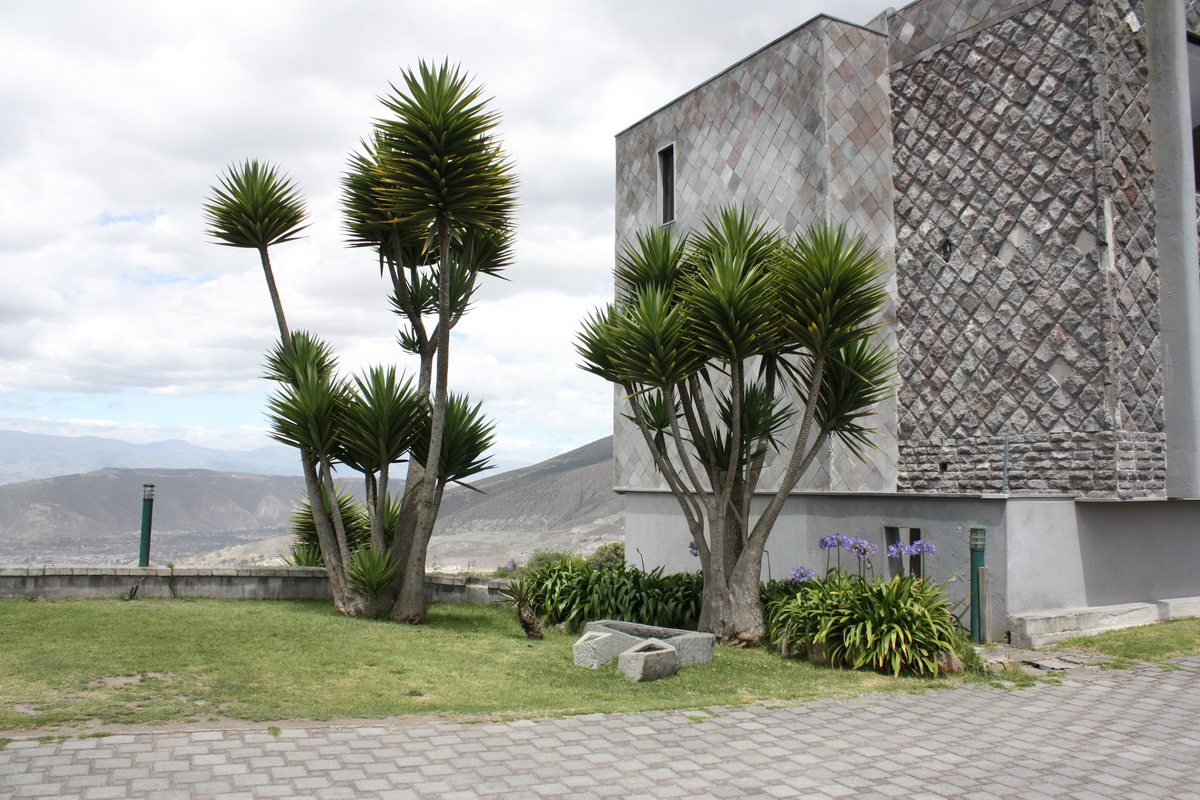 El cratér restaurant in ecuador