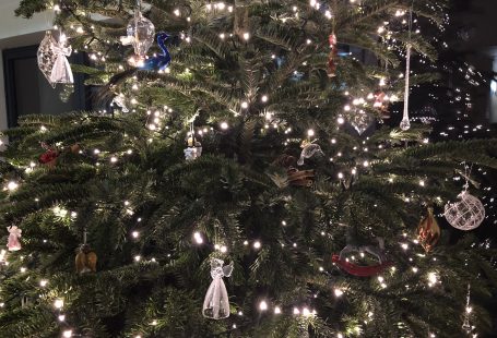 Christmas tree 2018 bollington