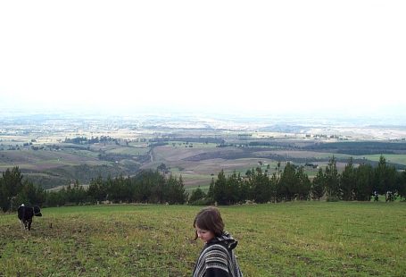 Me and a cow on a field in Ecuador