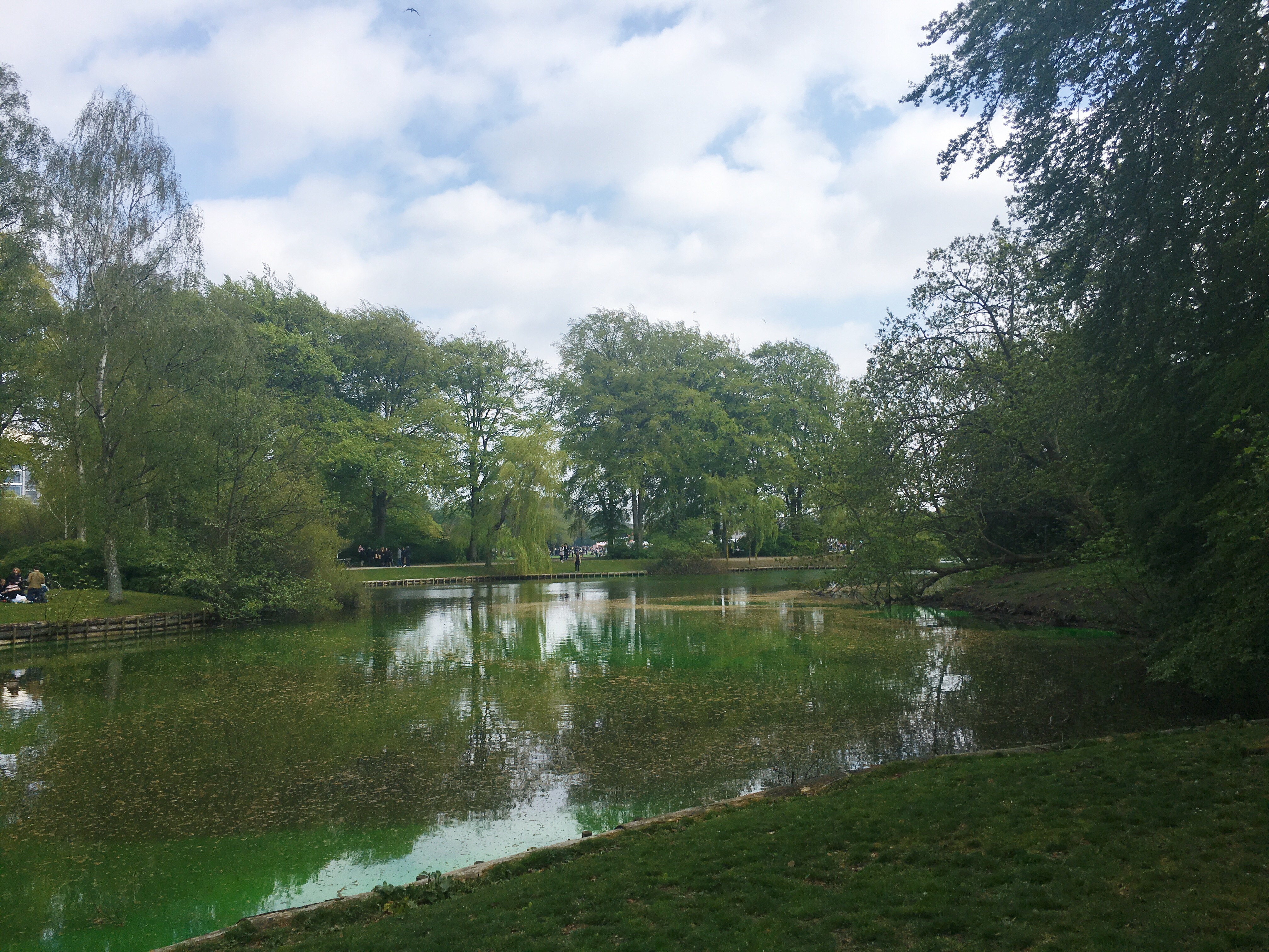The lake in parken 2019