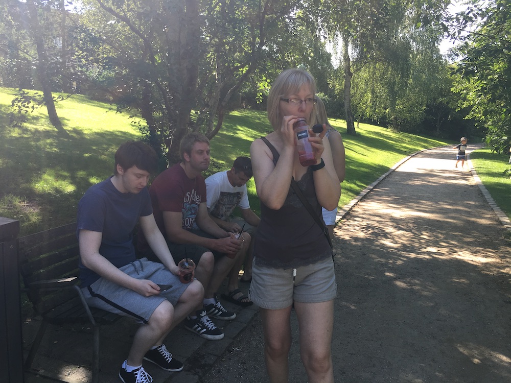 Eileen-ross-matt-andy-in-botanisk-have-2016