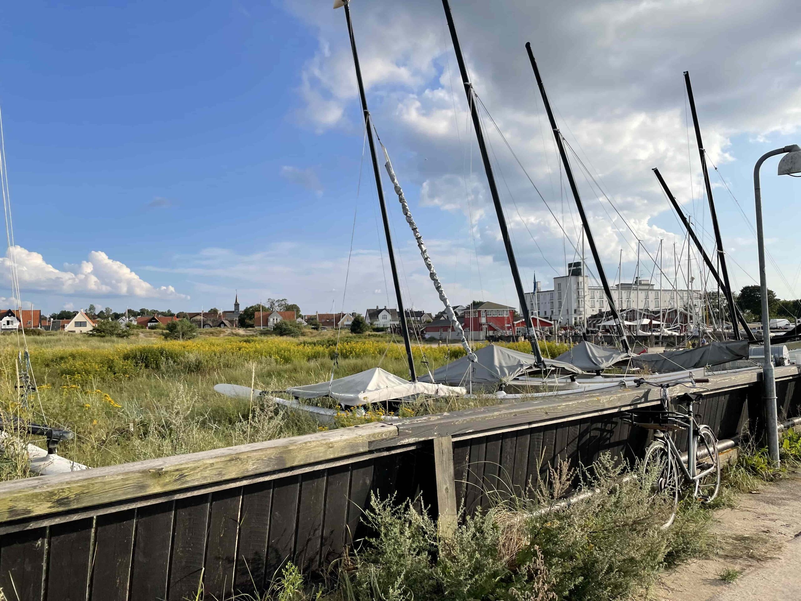 Hornbæk havn og område august 2021