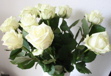 white roses at home