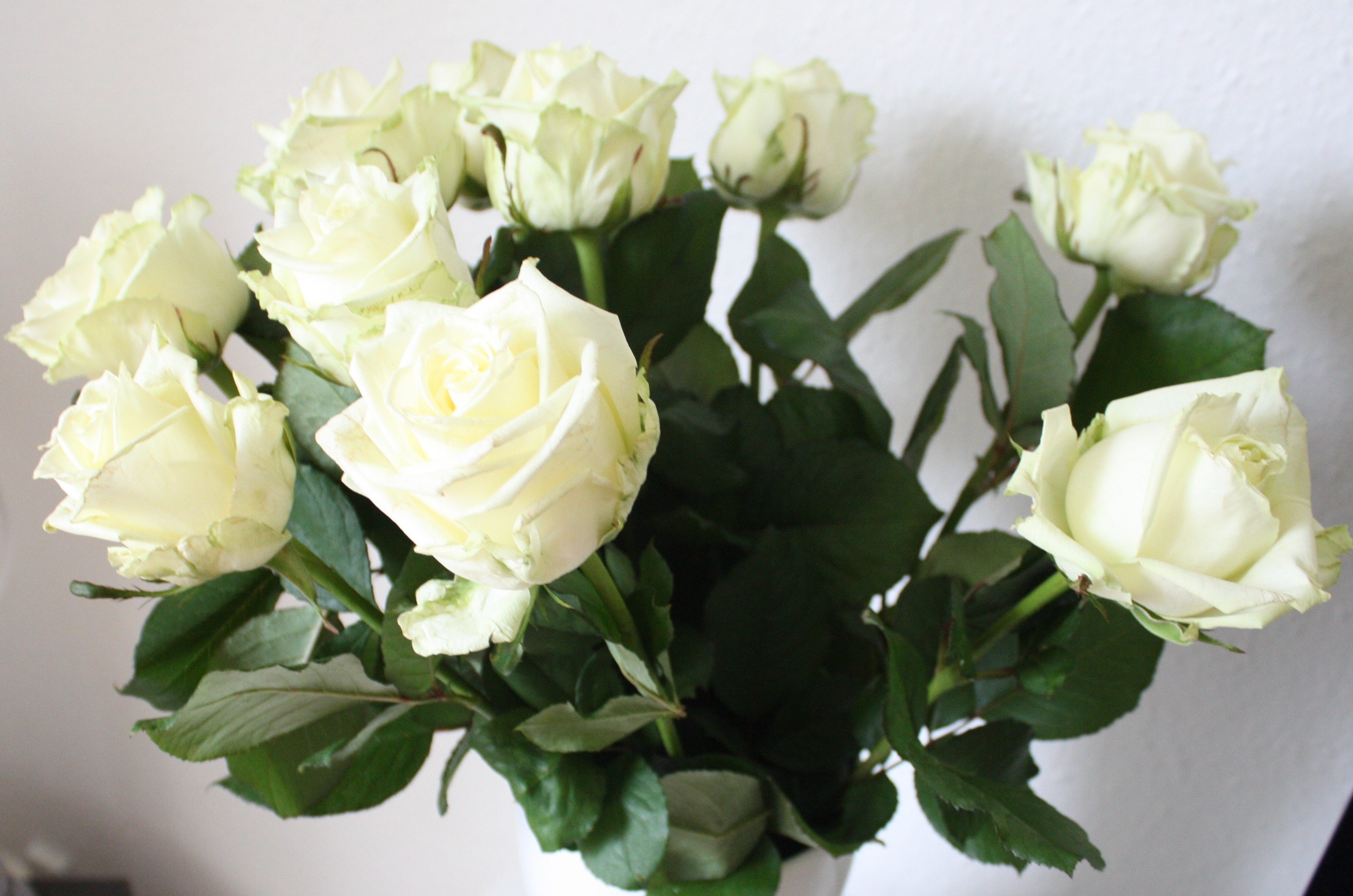 White Roses