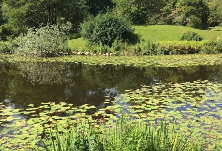 botanisk have i københavn 2017