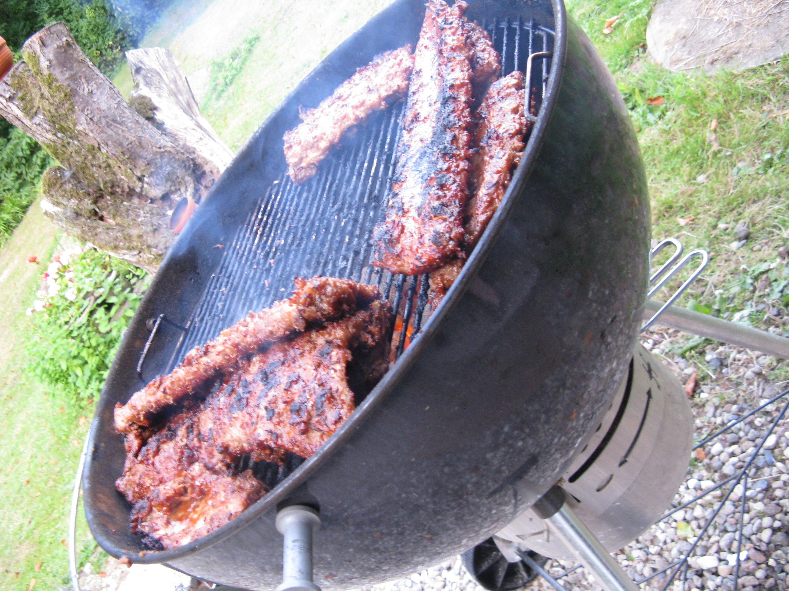 BBQ spareribs summer 2009