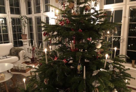 Juletræ christmas tree skodsborg