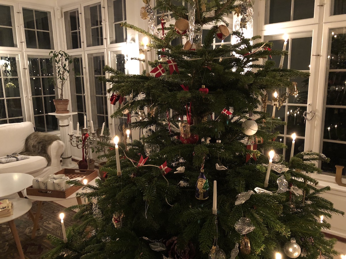 Juletræ christmas tree