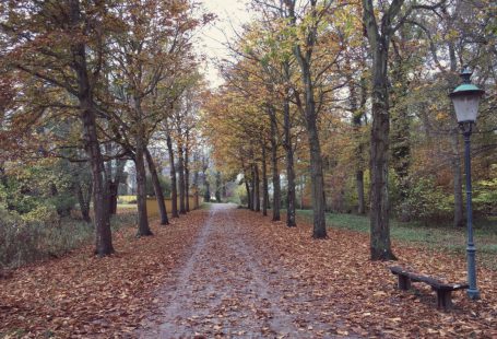 a walk near roskilde in nature