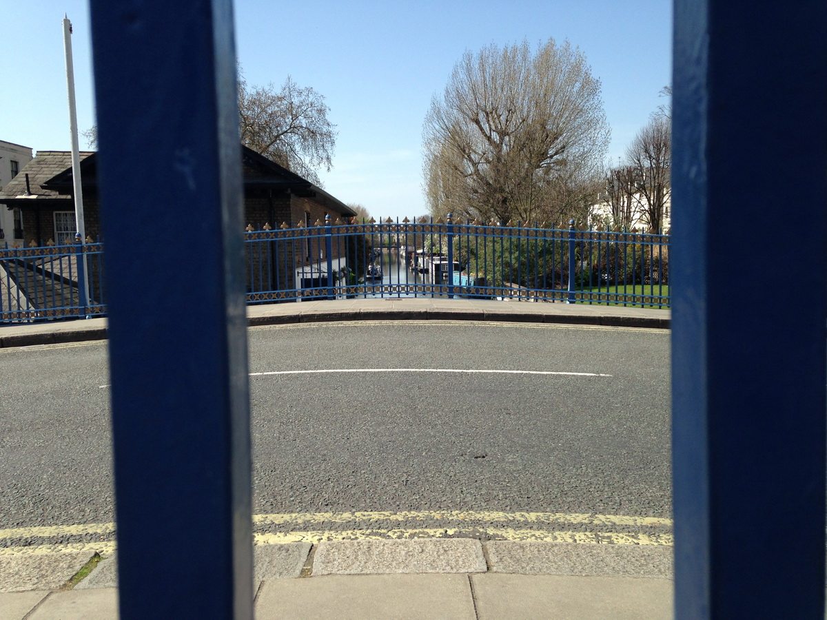 Peeking through a fence