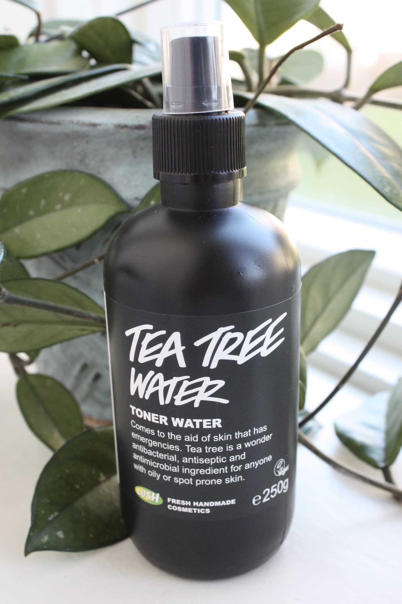 Lush tea tree water spray bottle 2018