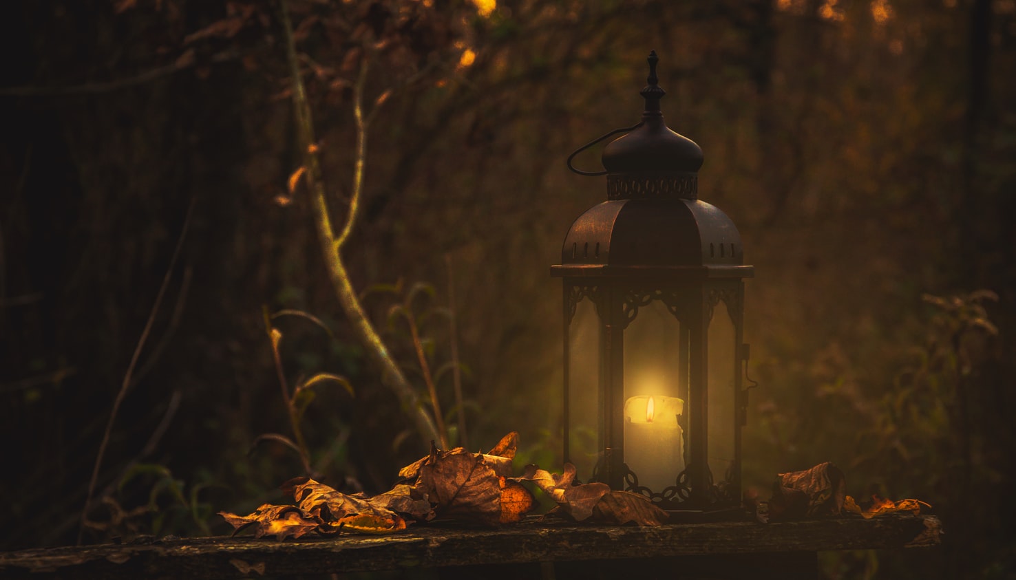 autumn candle and leaves lantern