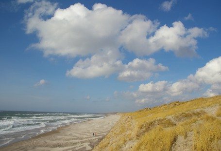 beach and sand dunes in denmark 2016