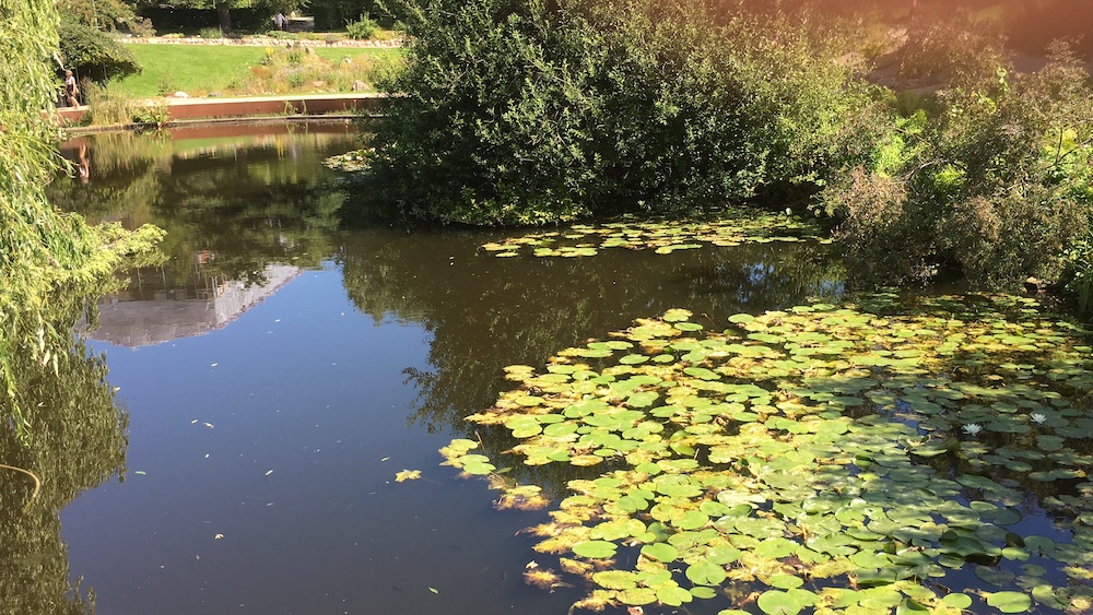 botanical-gardens-copenhagen-lake-2016
