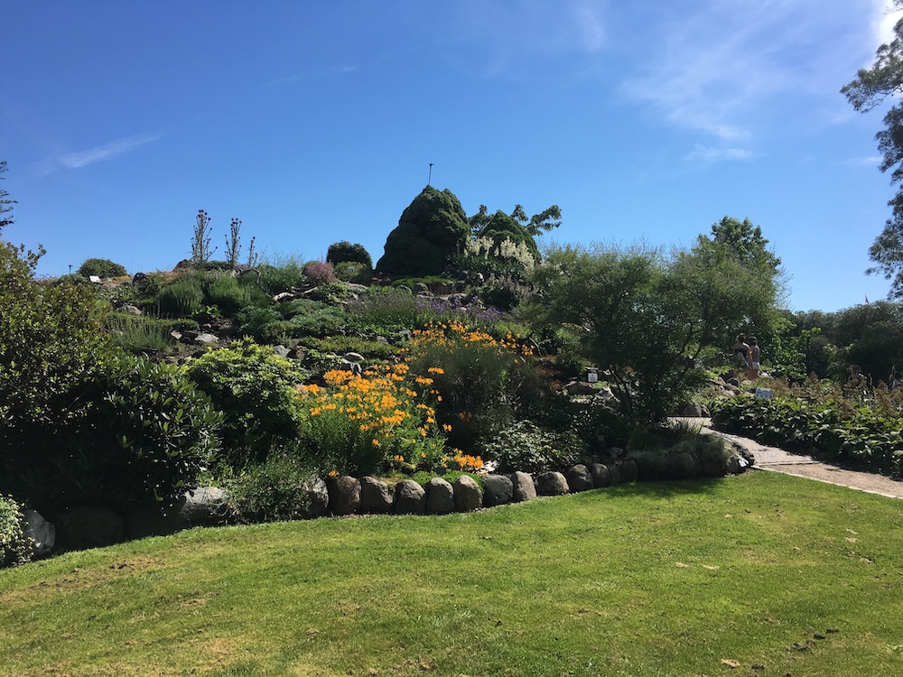 botanisk-have-i-københavn-blomster-2016