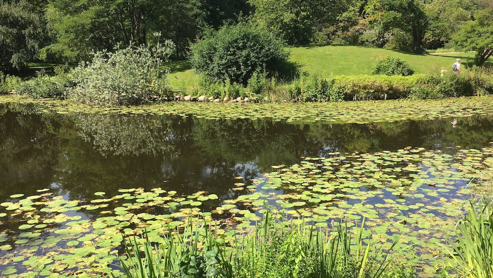 botanisk-have-københavn-sø-2016