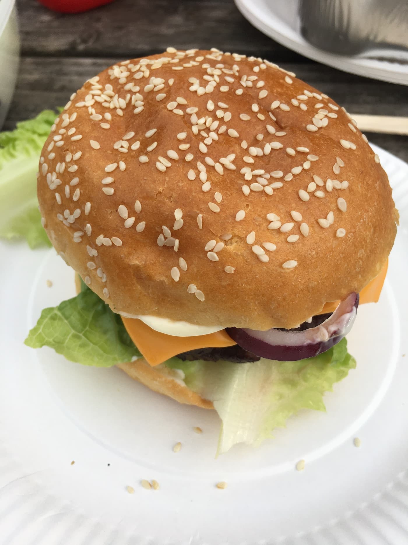 burger from a barbcue grill in a park 2021