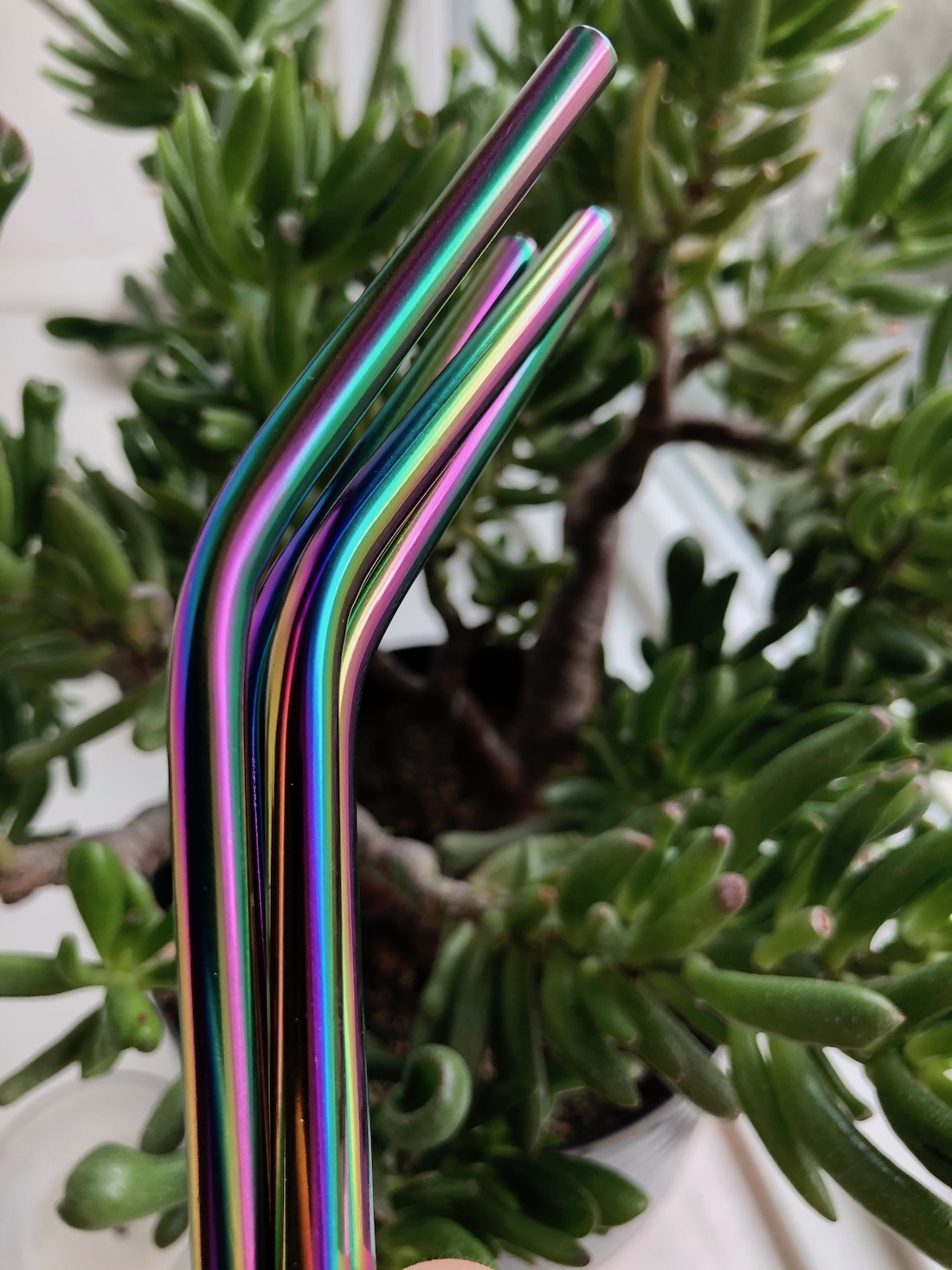 colorful Stainless steel straws paperchase.jpeg