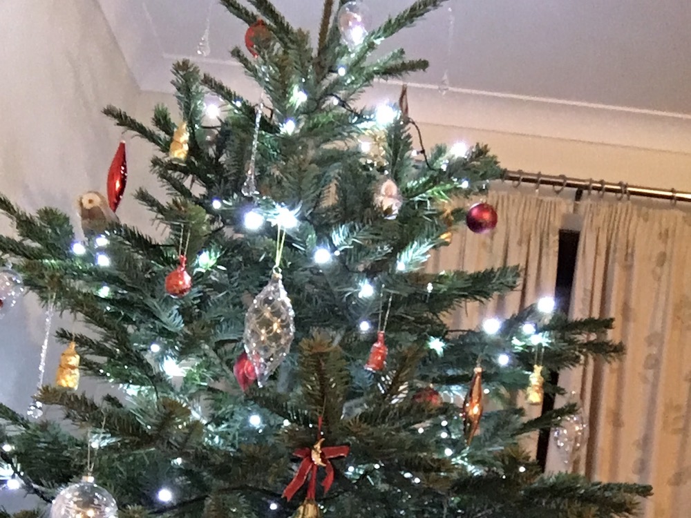 english-christmas-tree-bollington-2015