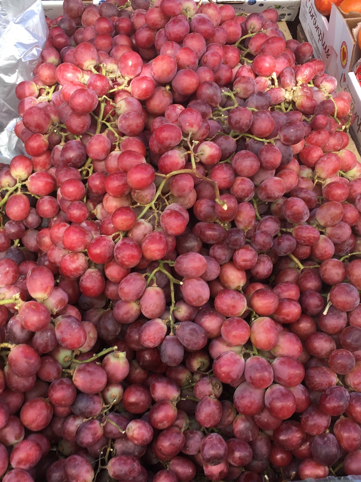 fresh red grapes from Peru 2021