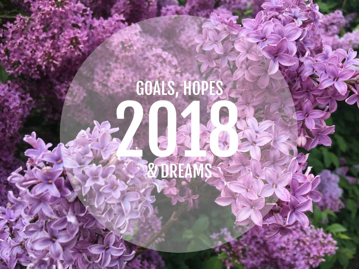 goals and hopes 2018