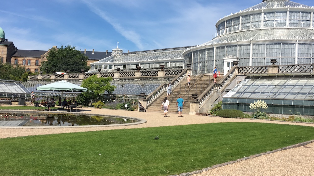 greenhouse-botanical-garden-copenhagen-2016