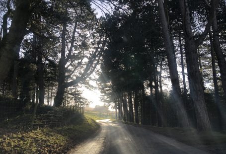driving on a road in lyme park cheshire 2018