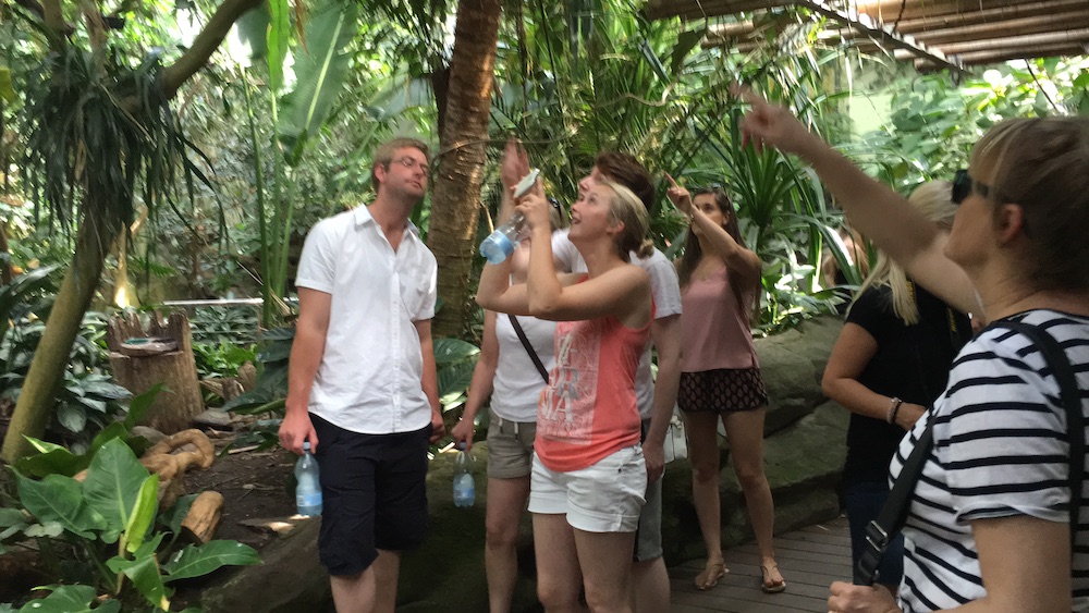 jessica-ross-and-andy-taylor-cph-zoo-2016