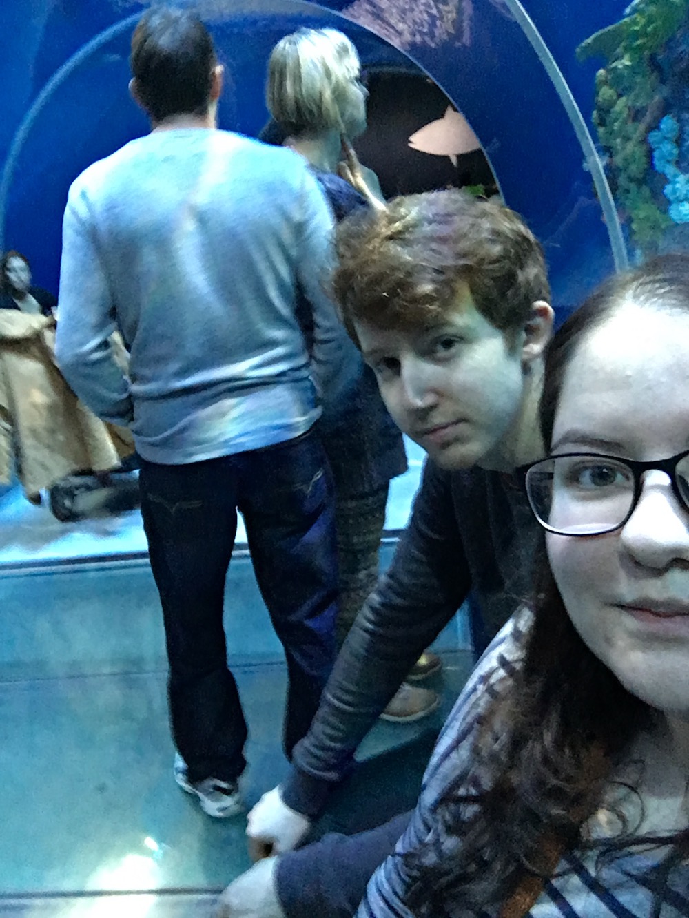 matt_leah_chris_eileen-tunnel-aquarium