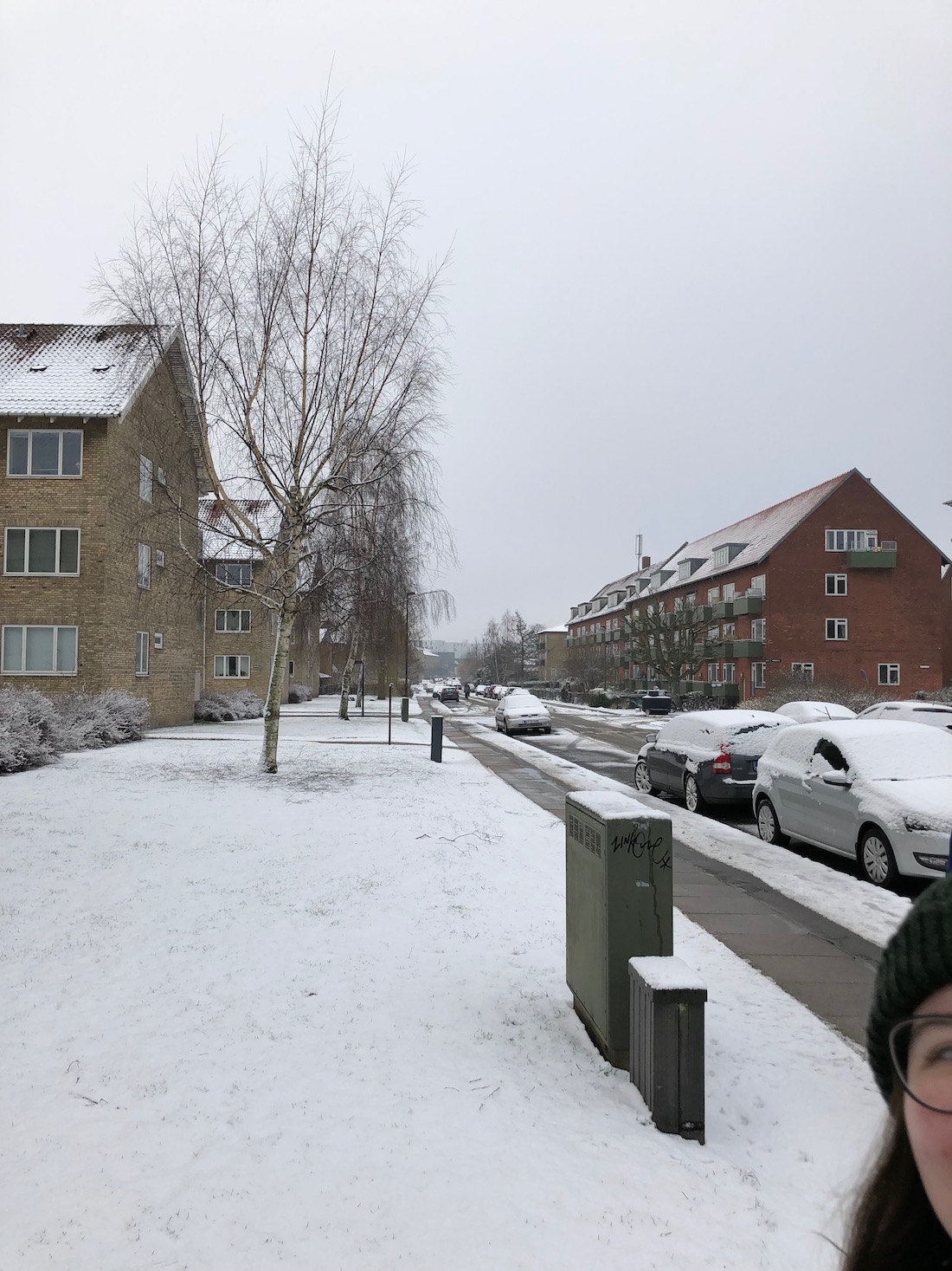 photobombing matts photo of the snow