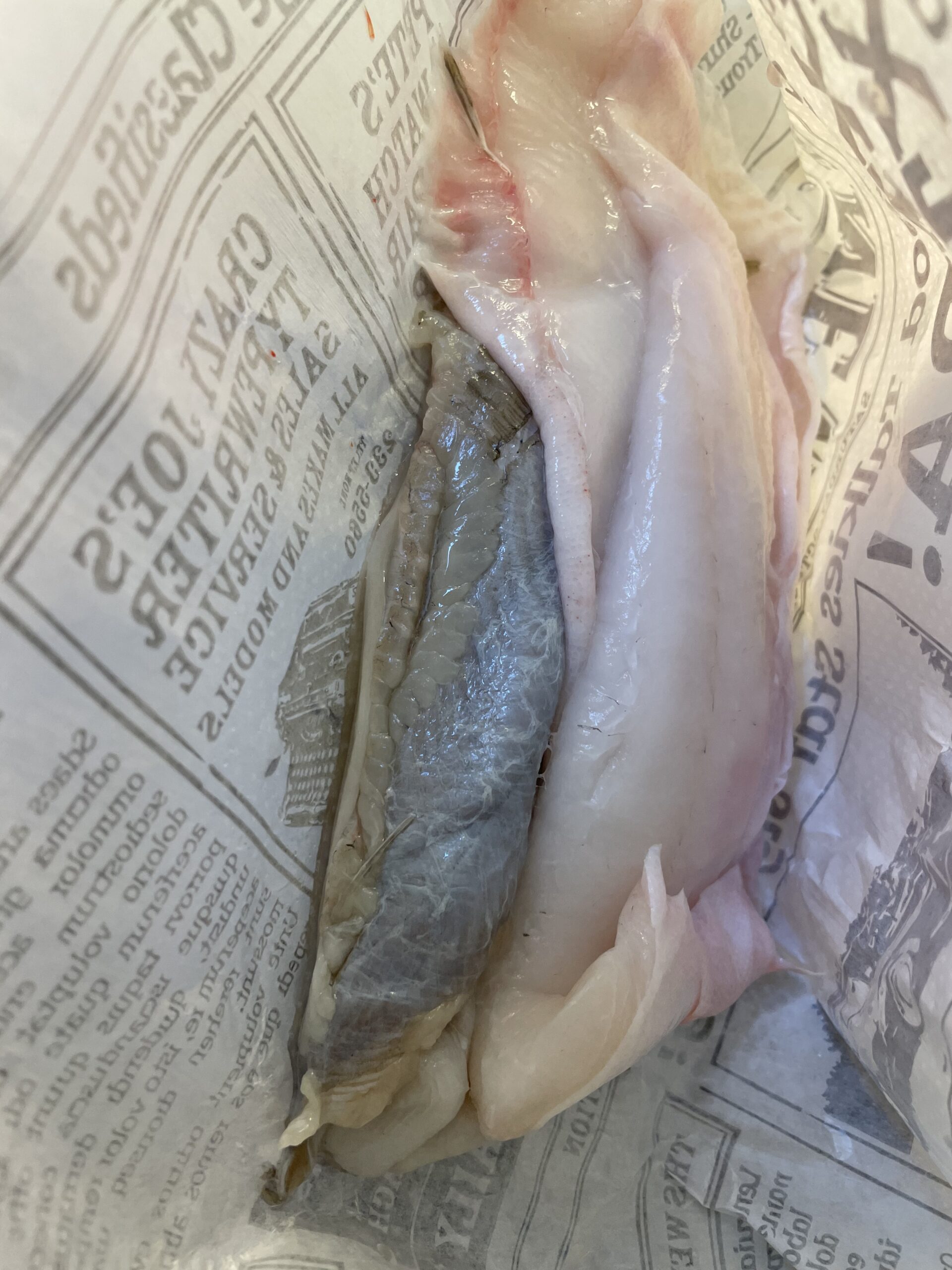 raw plaice filets from den grønne kutter 2021