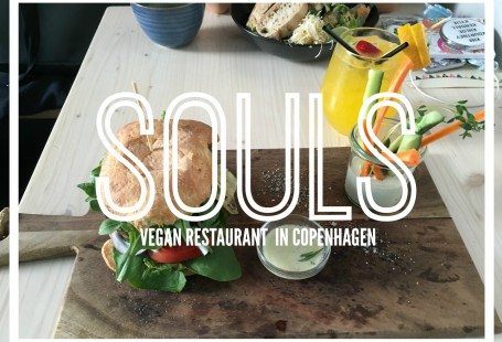 souls vegan restaurant in copenhagen 2016