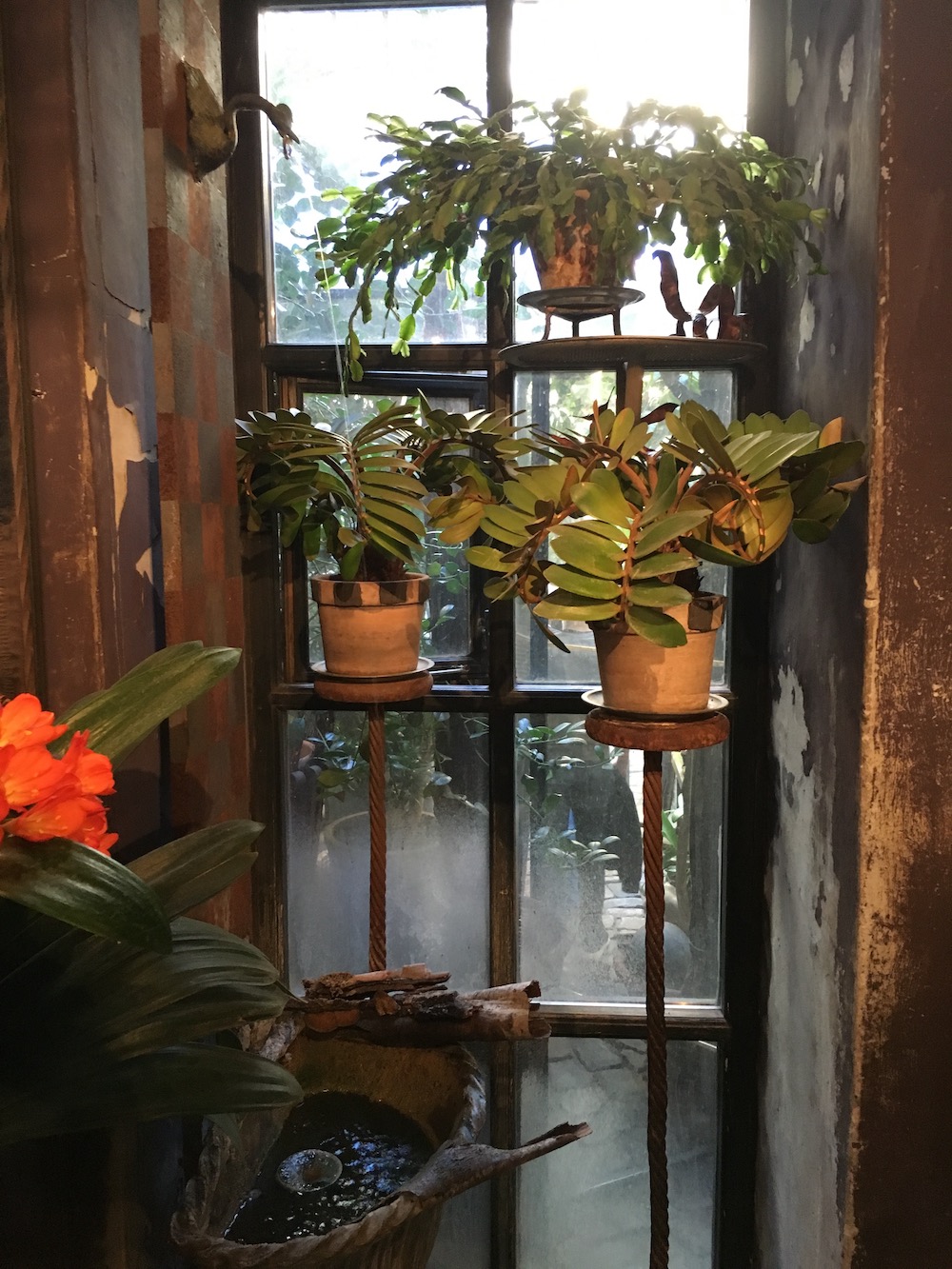 tage-andersen-kunstgalleri-planter-vindue