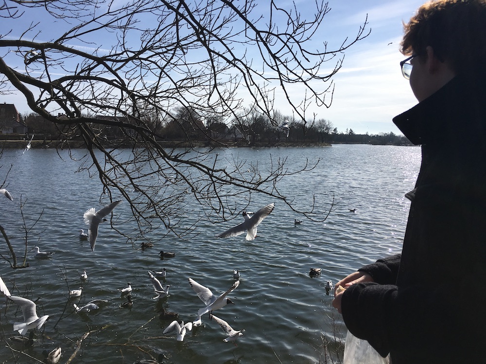 walk-around-damhus-søen-with-matty-26th-march